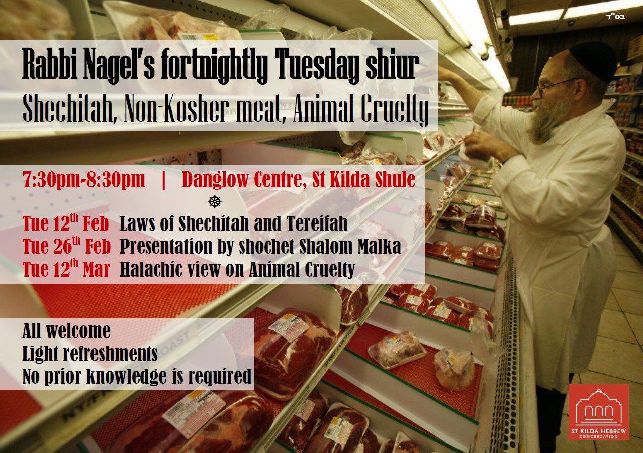 Shechitah Non Kosher Animal Cruelty - Events